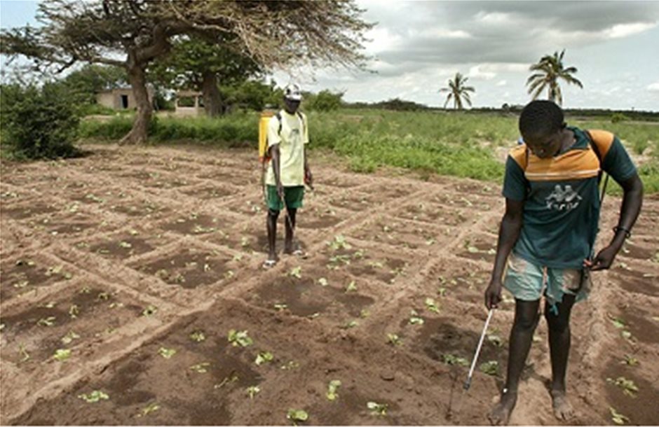 Δορυφόροι μετρούν την απόδοση καλλιεργειών στην Αφρική
